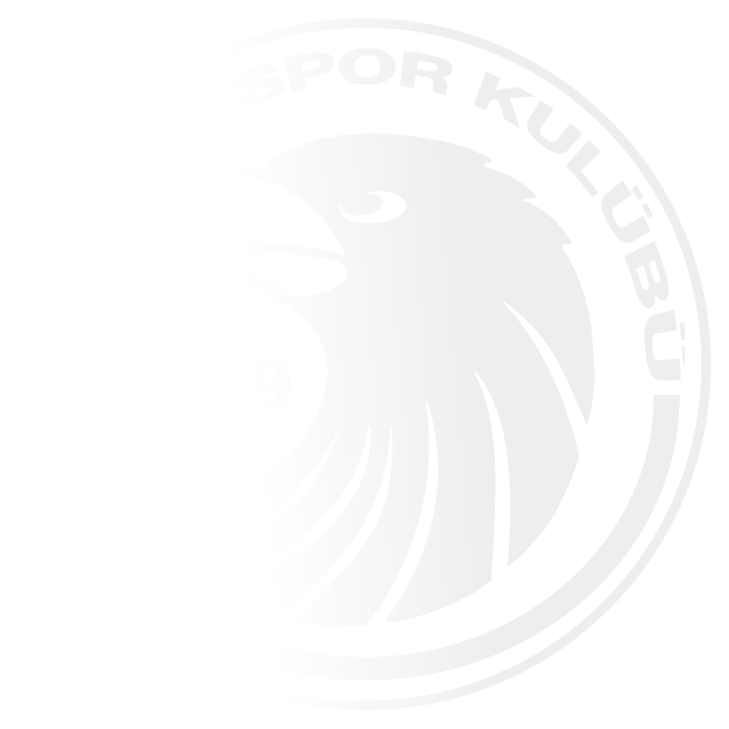Kartalspor